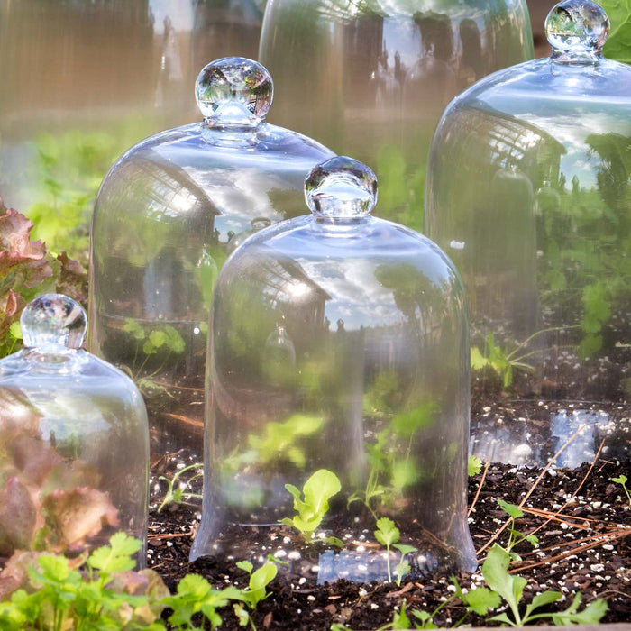 Candle Cover Bell Jar - Small