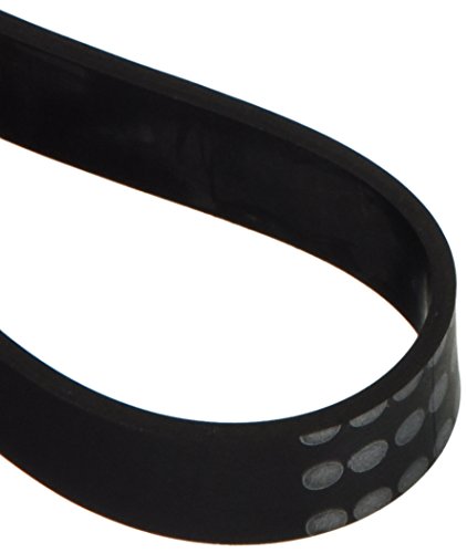 EUREKA Power Nozzle Belt (Pack of 2)