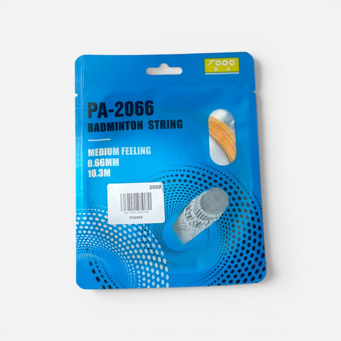 PA2066