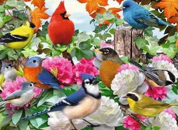 500 pc Garden Birds Puzzle