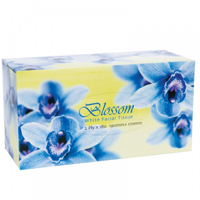 ABC Blossom Facial Tissues 2 Ply