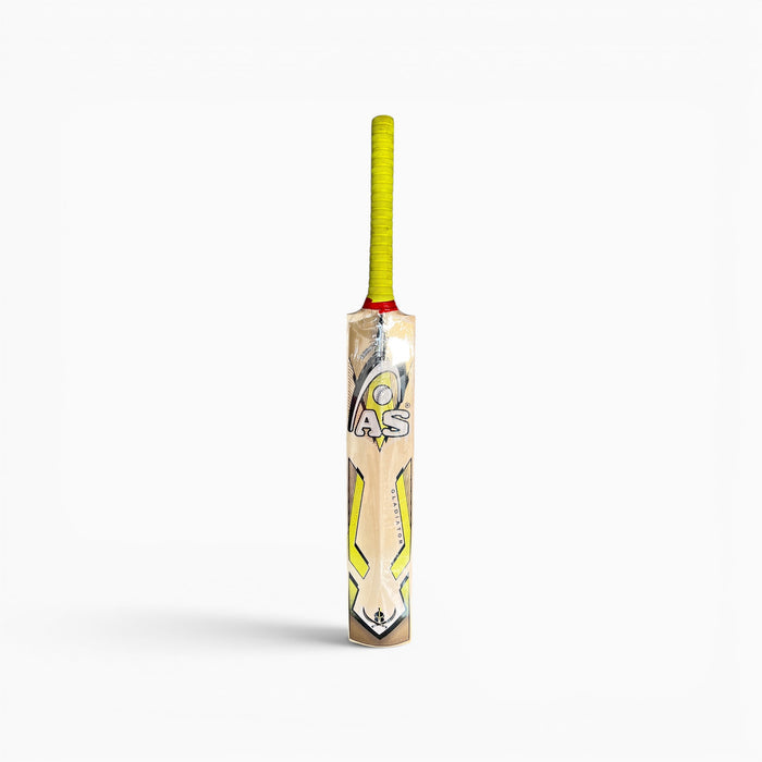 AS Kashmir willow cricket bat, view 1
