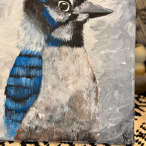 Blue Jay Canvas Art