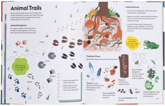 Book - Let's Play Outdoors: Exploring Nature - Spread 5