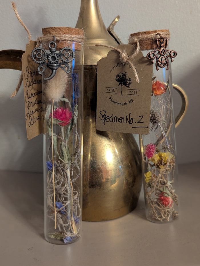 Botanical Curio