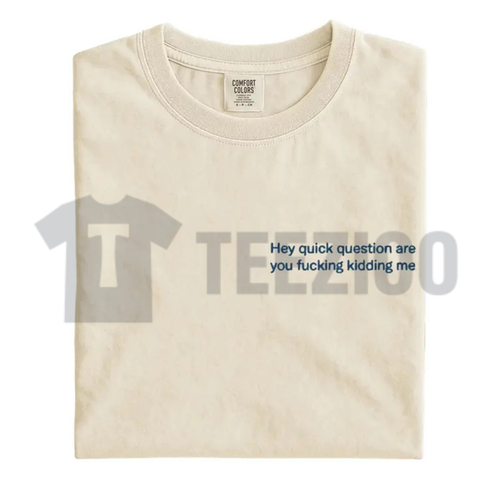 Embroidered "Are You Kidding Me" Comfort Colors Tee