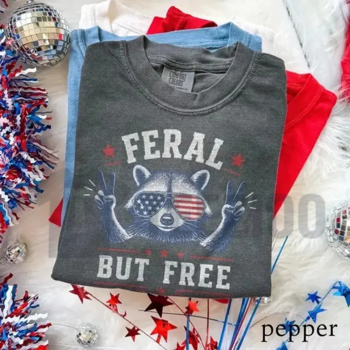 Funny Raccoon America 2026 Shirt – Retro Aesthetic Coastal Vibe Graphic Tee