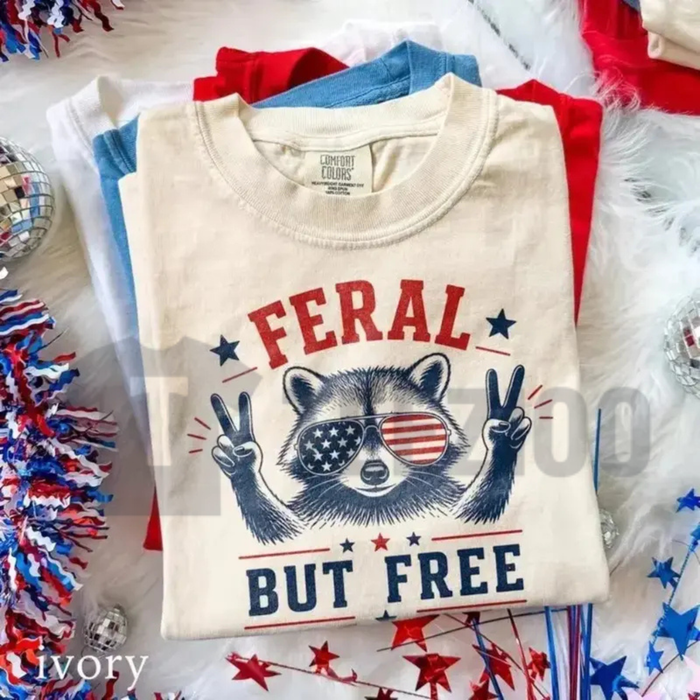 Funny Raccoon America 2026 Shirt – Retro Aesthetic Coastal Vibe Graphic Tee