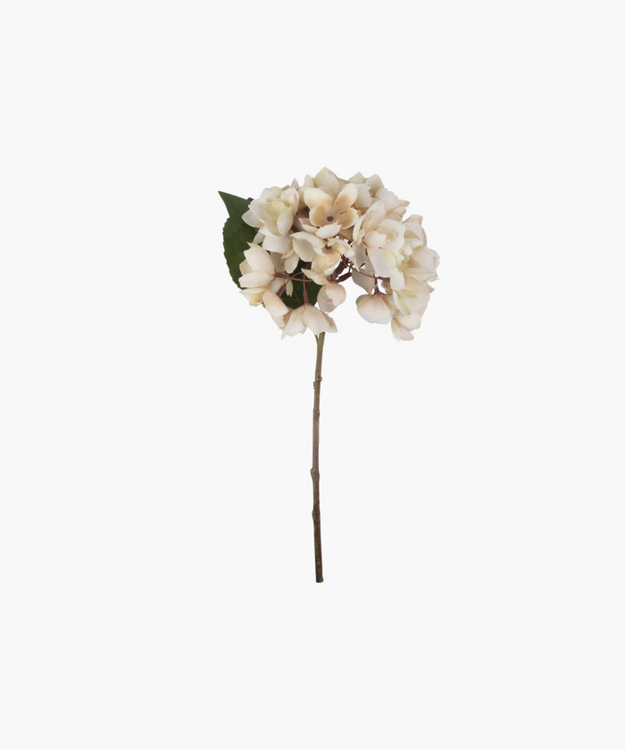 A single stem of light pink hydrangea with lush blossoms and one green leaf, set against a white background, conveying a sense of delicate beauty. | SW Home
