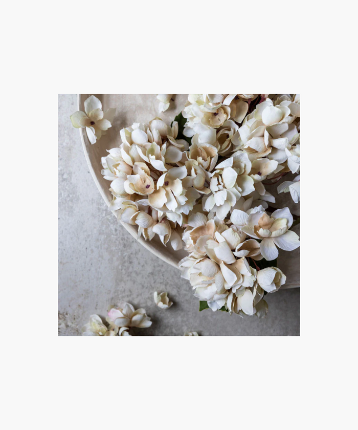 A bouquet of light pink hydrangea with lush blossoms and green leaves set on natural toned tray, conveying a sense of delicate beauty. | SW Home