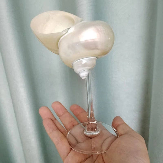 Kiyo Home | Clear Seashell Glasses 4 - Piece Set - Kiyo Home - Living with Ivey