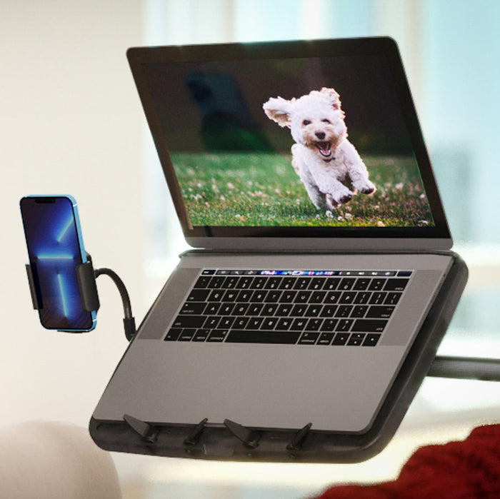 cell phone clamp mount