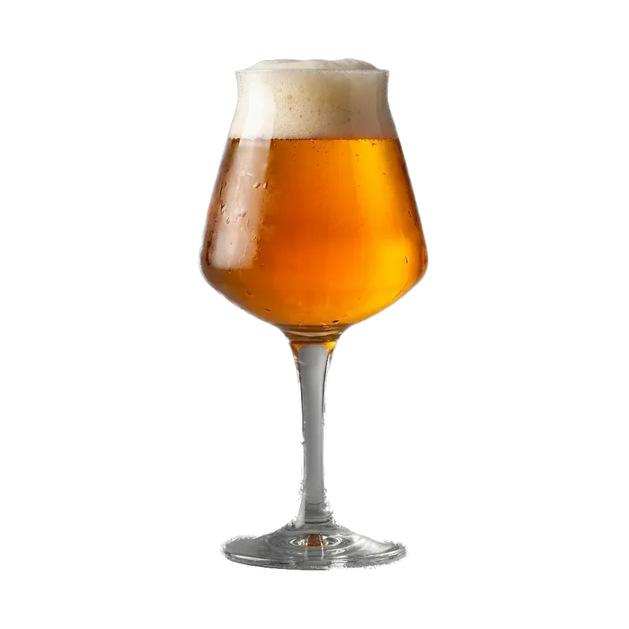 Martin's Belgian Pale Ale Recipe Kit