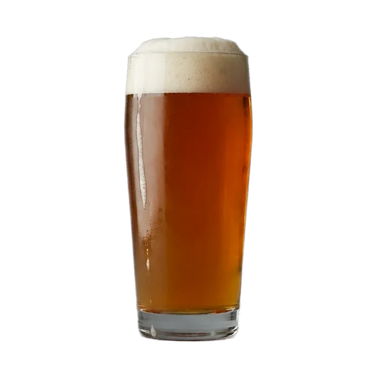 Martin's International Amber Lager Recipe Kit