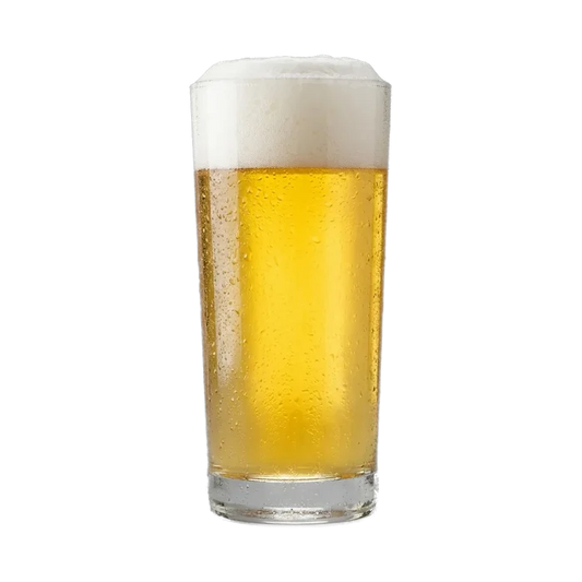 Martin's International Pale Lager Recipe Kit