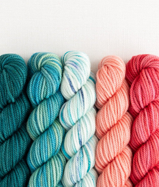 Merino DK Party of Five | Sweet Georgia