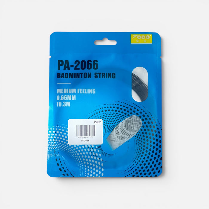 PA2066