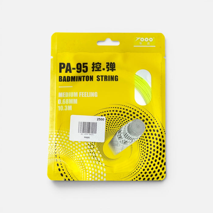 PA95
