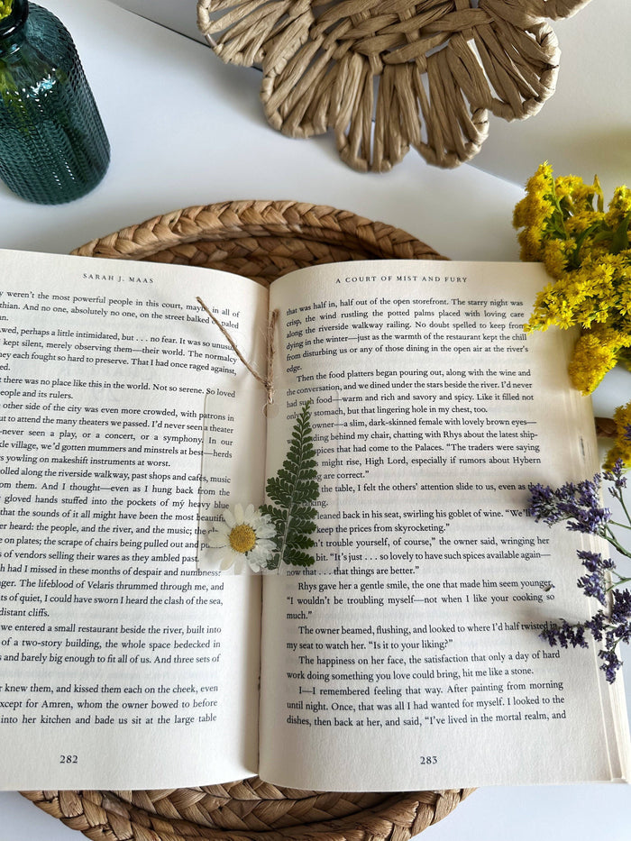 Petals & Pages by Grace - Mini daisy bookmark