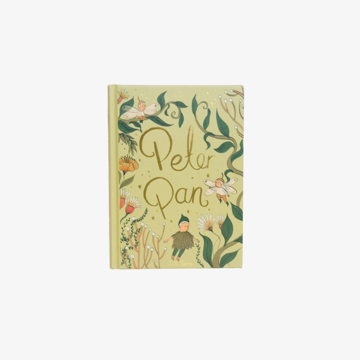 Cover of the copy of 'Peter Pan' with floral designs and fairy imagery on a white background