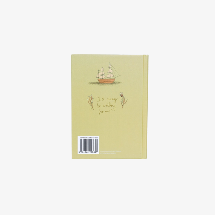 Back cover of the copy of 'Peter Pan' with a ship on a green background