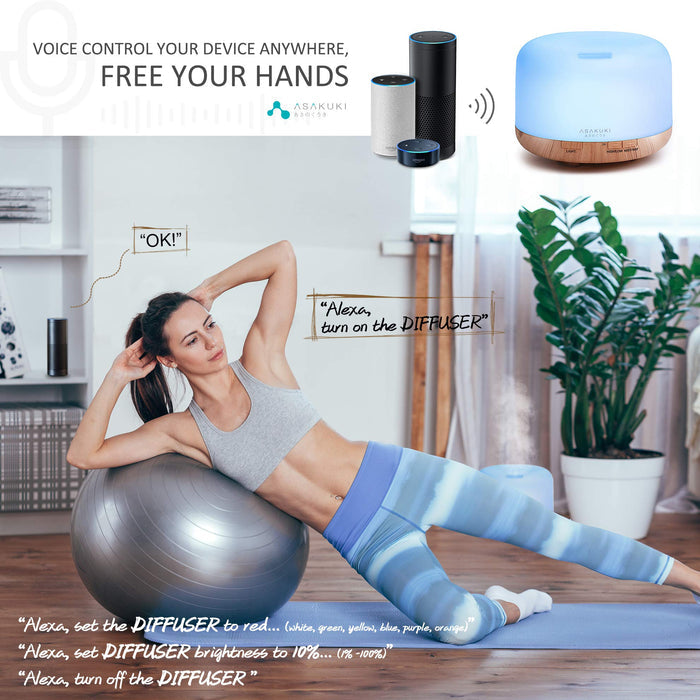 Rock Smart Wi-Fi Essential Oil Diffuser - Asakuki