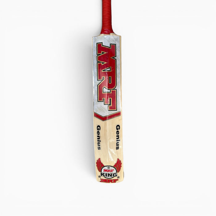 SS GM Kashmir willow cricket bat, view 2