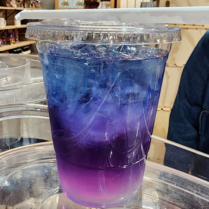 Tea n' More - Magic Blue Butterfly Tea - Cold Brew Tea