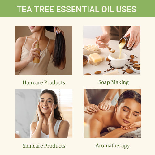 Tea Tree Oil + Lavender Essential Oil- Combo Pack