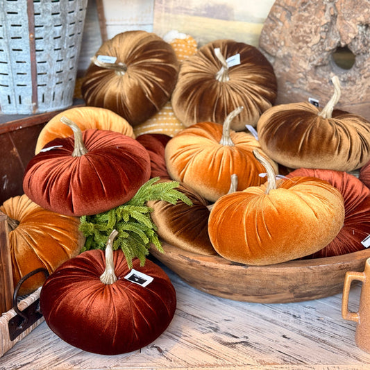 Velvet Pumpkin
