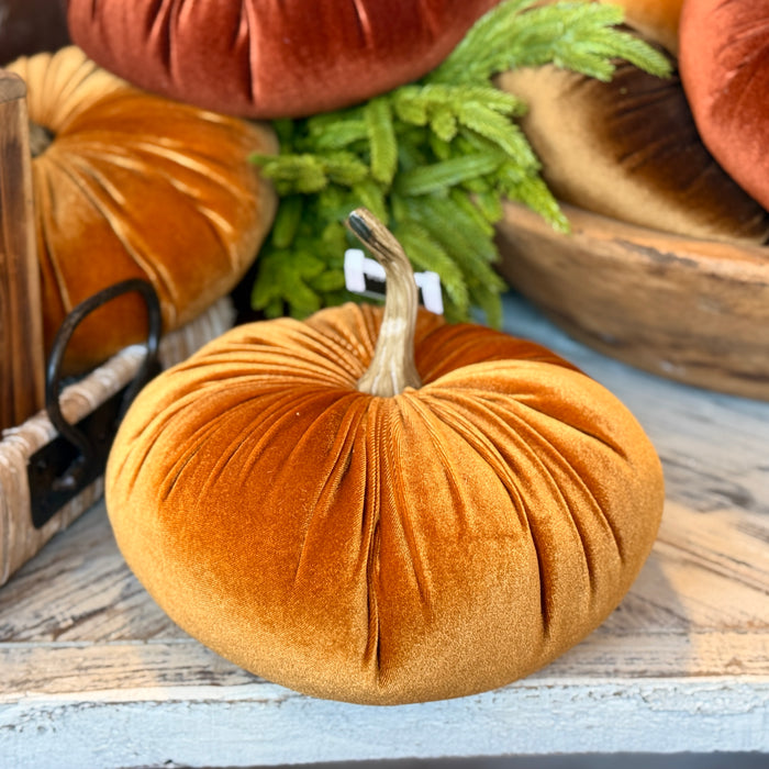 Velvet Pumpkin