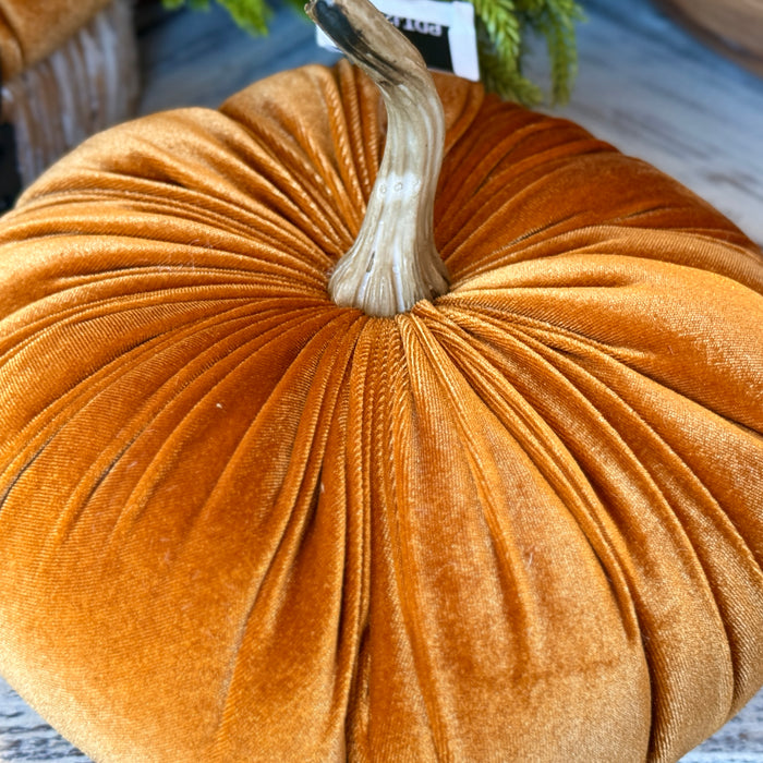 Velvet Pumpkin