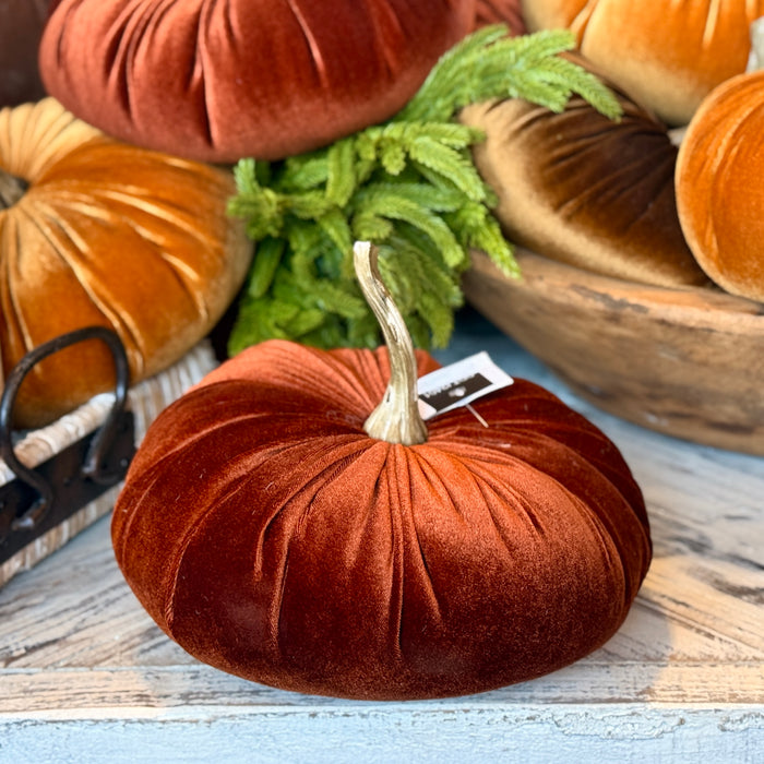 Velvet Pumpkin