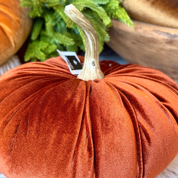Velvet Pumpkin