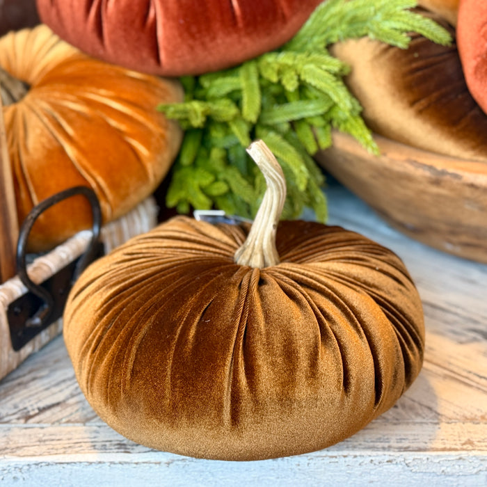 Velvet Pumpkin