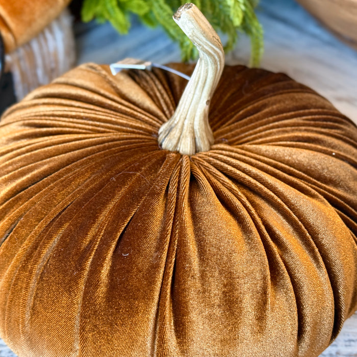 Velvet Pumpkin