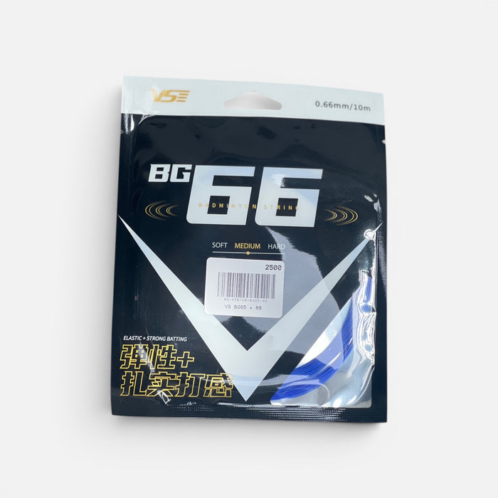 VS BG65 + 66