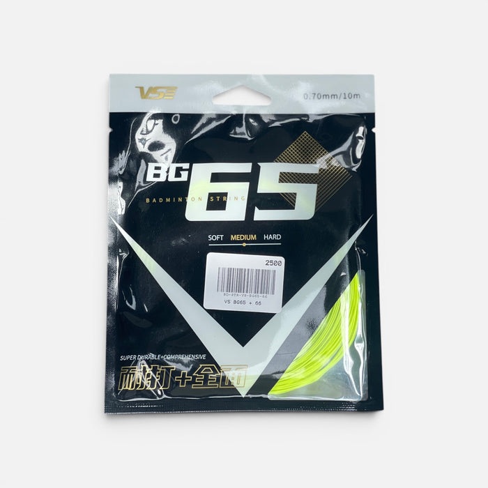 VS BG65 + 66