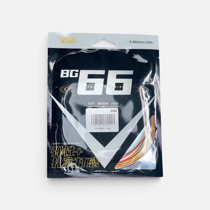 VS BG65 + 66