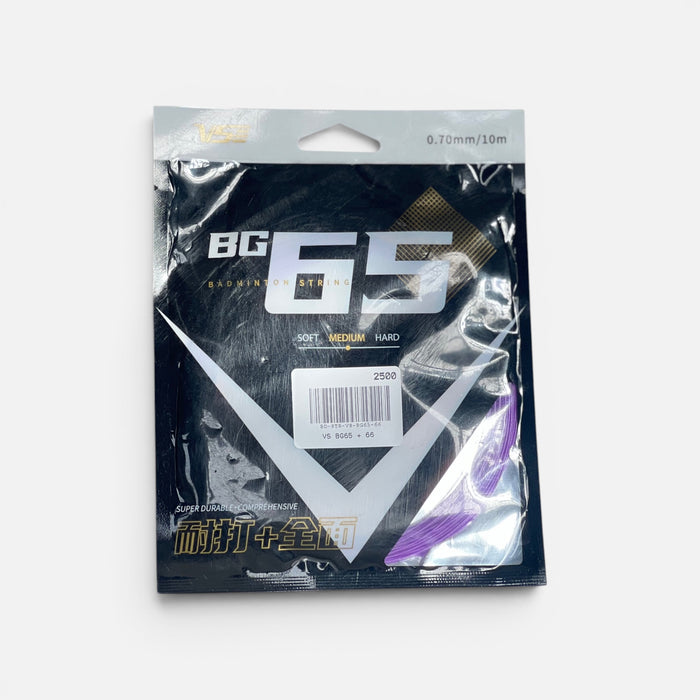 VS BG65 + 66