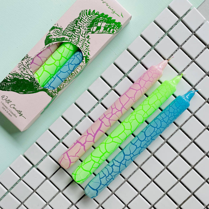 Wild Candles * Crocodile