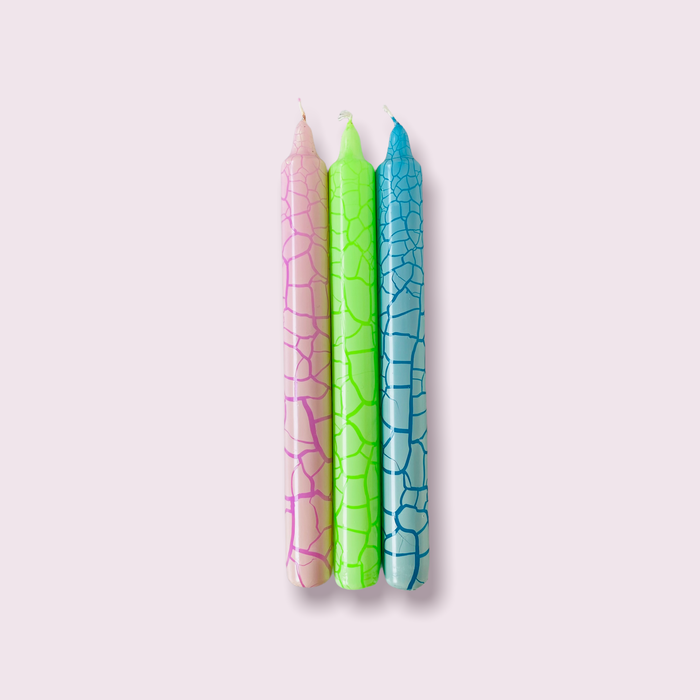 Wild Candles * Crocodile